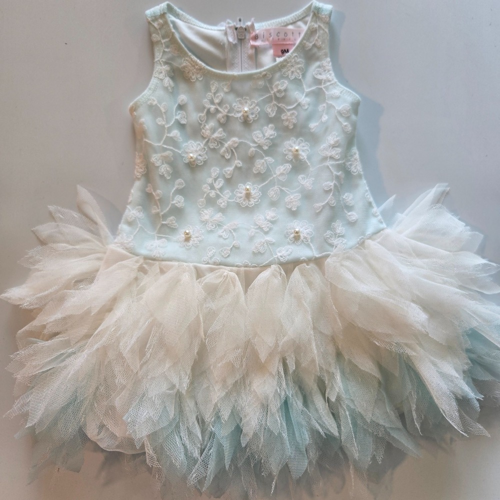 BISCOTTI‎ Girls' Living the Dream Embroidered Tulle Dress Blue, Sizes 9M